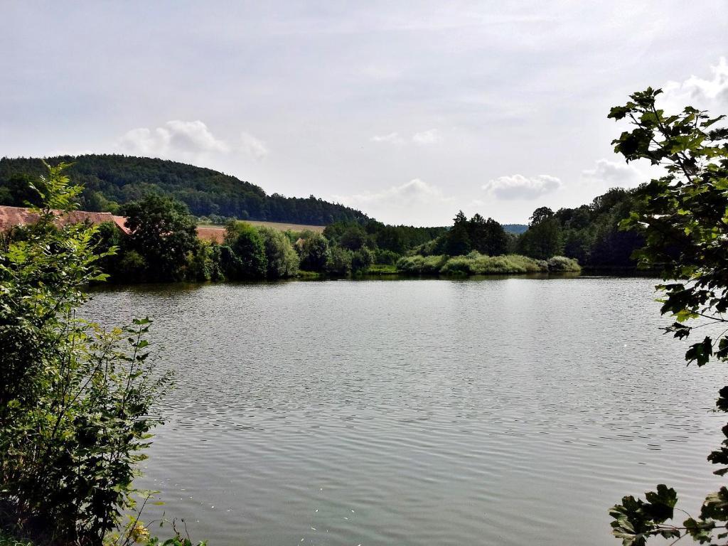 Pension Mlyn Stare Mitrovice Sedlec-Prcice Exterior foto
